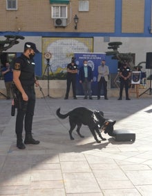 Imagen secundaria 2 - Arriba, presentación de la Unidad Canina UCAN de Rincón de la Victoria en octubre de 2020, y debajo, a la izquierda, otra de las intervenciones, y a la derecha, una exhibición con Locky. 