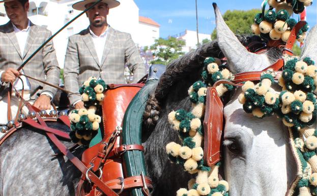 El programa de actividades incluye espectáculos de doma. 
