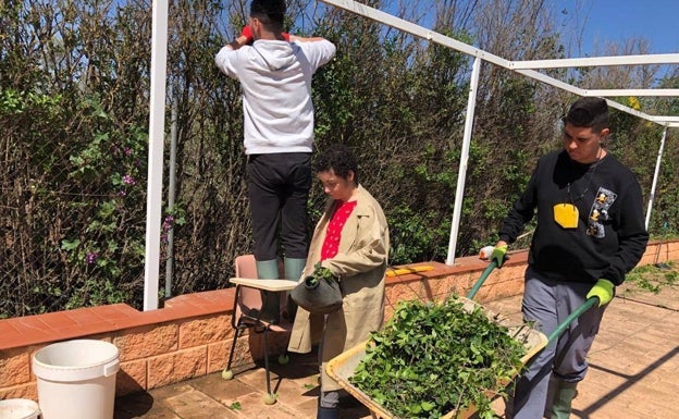 Los adultos realizan labores de mantenimiento en una finca con jardín que tienen en común.