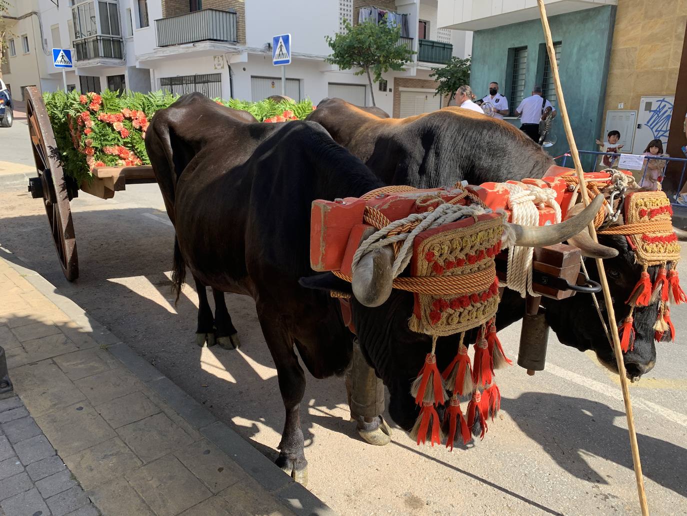 San Isidro vuelve a las calles de Estepona