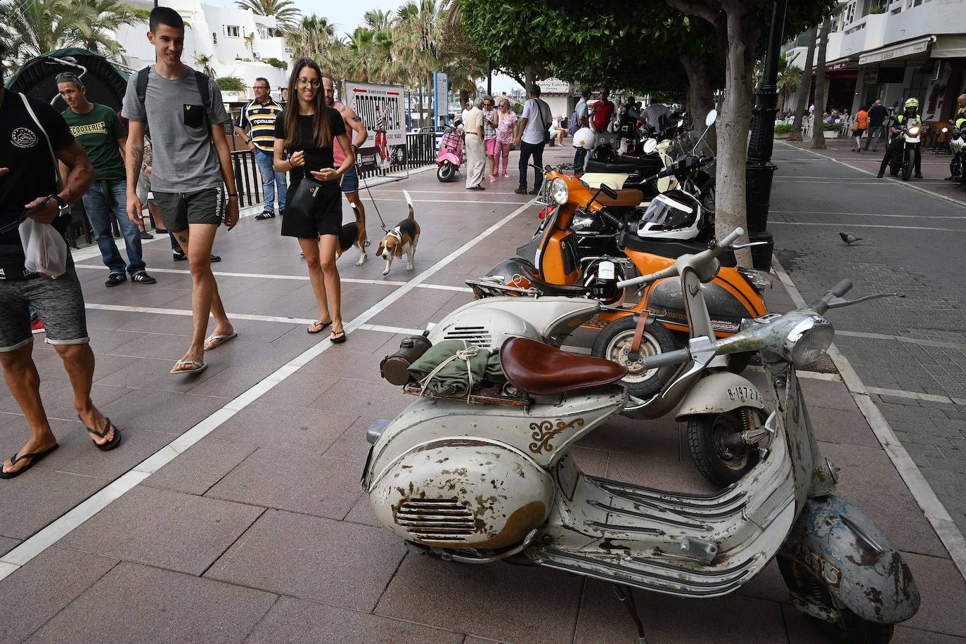 Las motos clásicas recorren Marbella. 