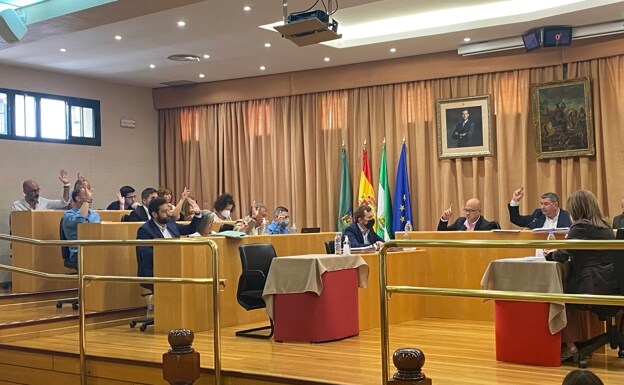 Imagen de la sesión plenaria celebrada este viernes en Vélez-Málaga. 