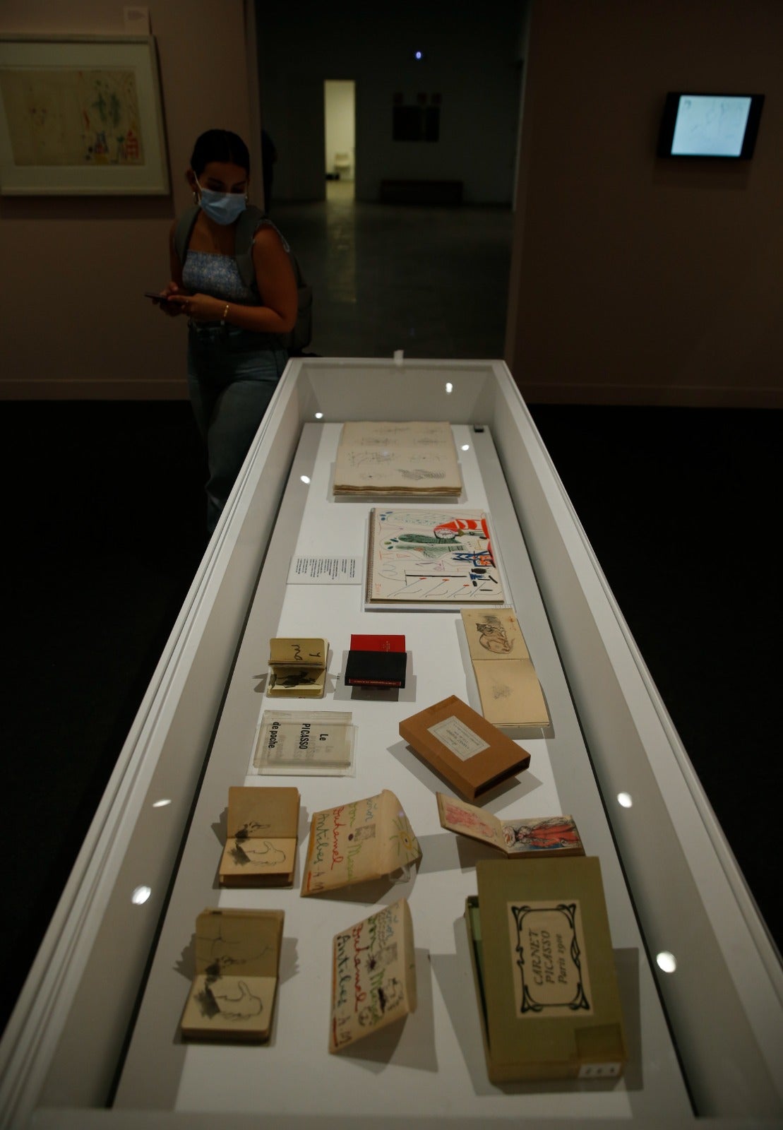 Fotos: Picasso sale al rescate del Museo Ruso de Málaga con la mayor exposición de fondos de su Casa Natal