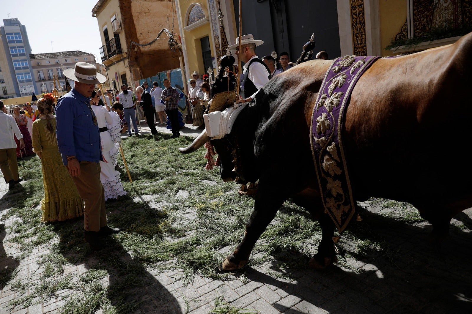 Los romeros han emprendido la marcha hacia Huelva este sábado 28 de mayo tras la misa oficiada a las 8.00 horas en la parroquia de la Santísima Trinidad, templo donde se encuentra establecida la corporación desde 2019.