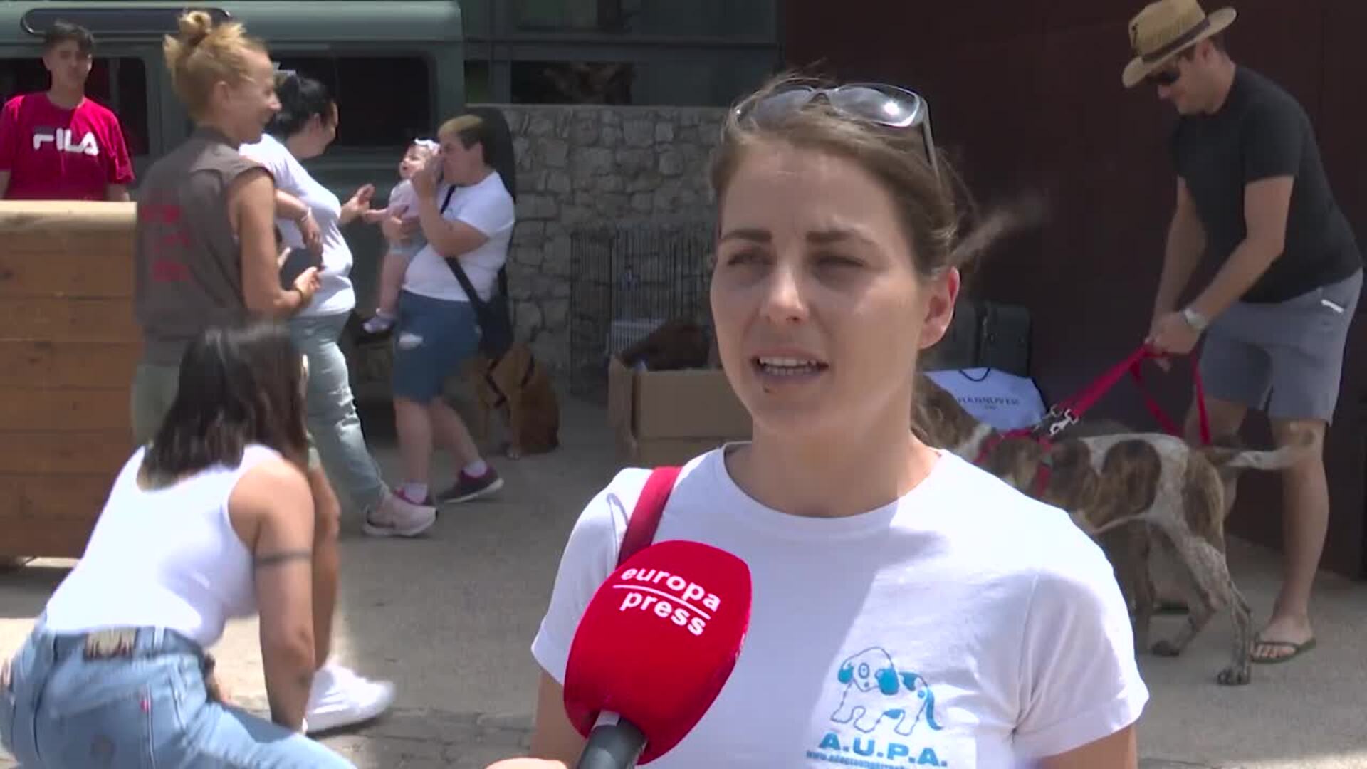 La Protectora AUPA colabora con Bioparc en el desfile de perros abandonados