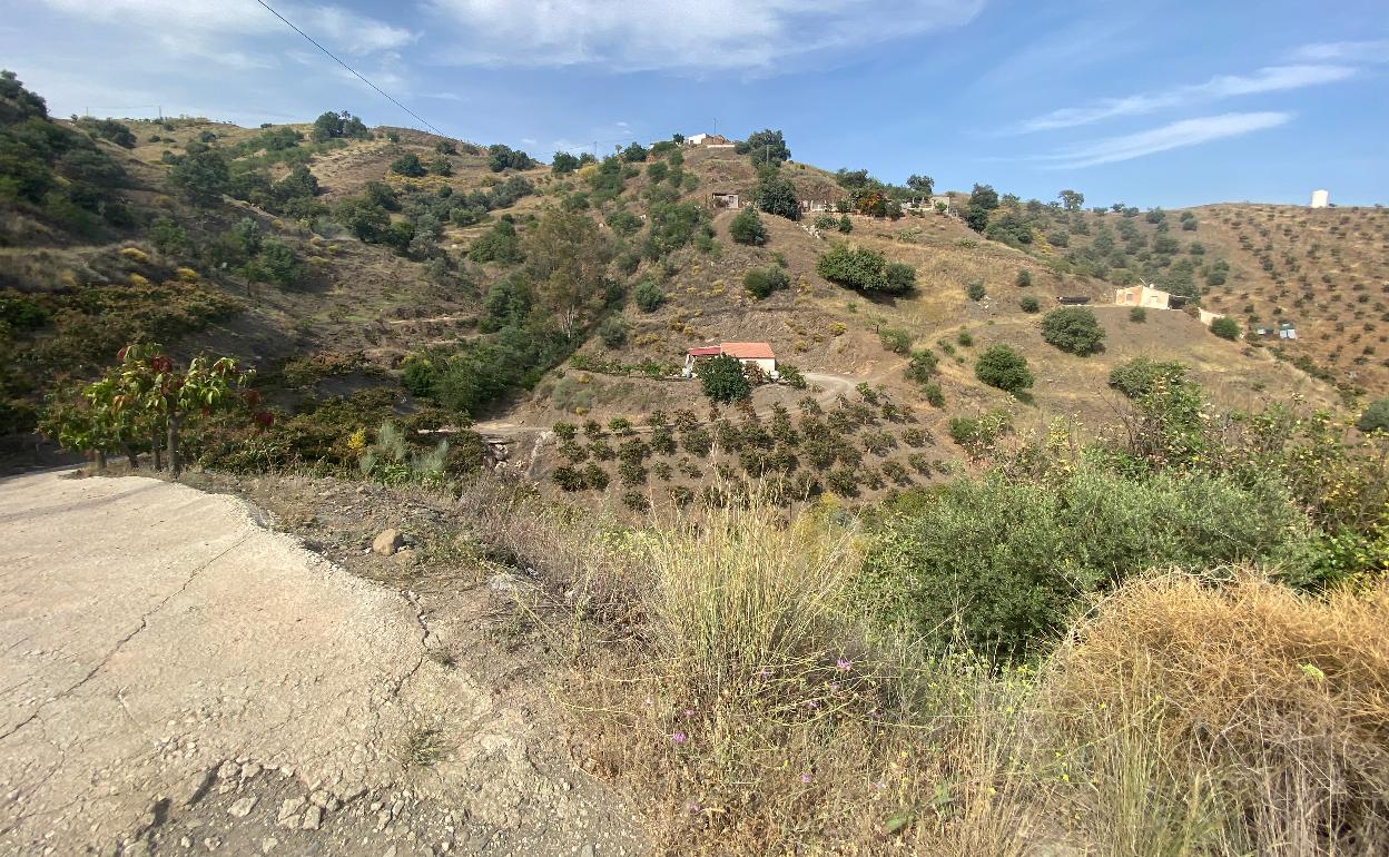 Imagen del entorno rural de Lomas de Cútar en el término municipal de Almáchar, donde ayer ocurrieron los hechos. 