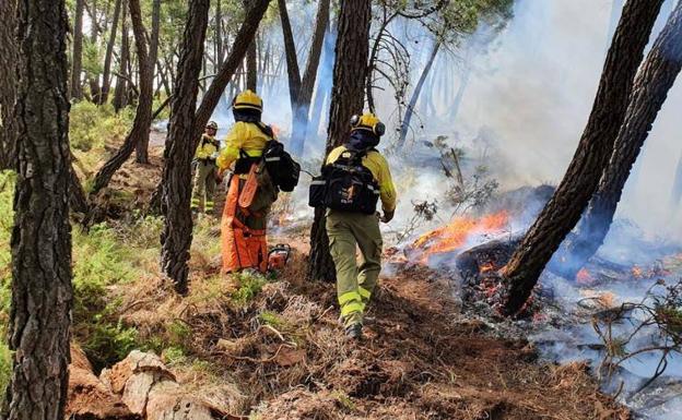 Imagen de archivo de un incendio en Jubrique 