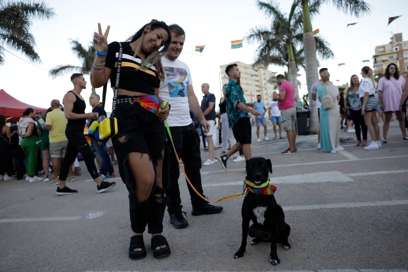 Ambiente festivo y reivindicativo en el Orgullo de Torremolinos 