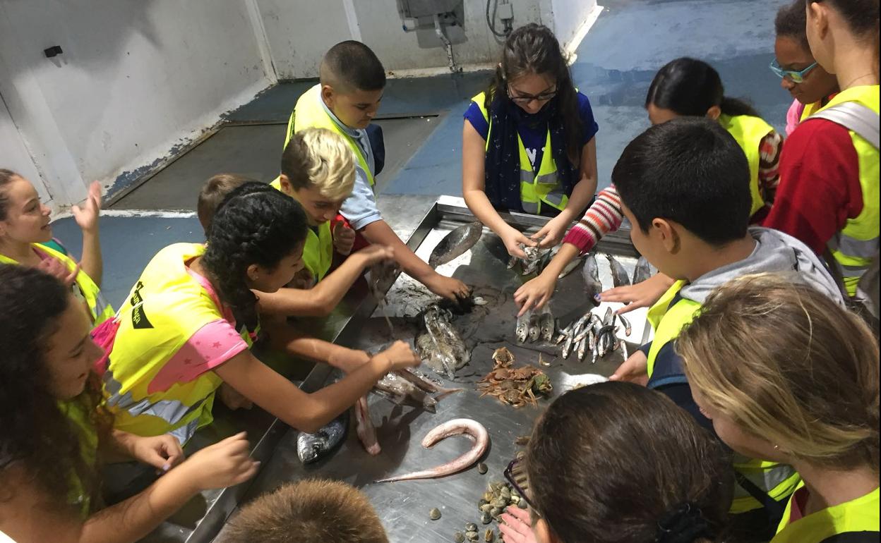 Visita de estudiantes a Mercamálaga. 