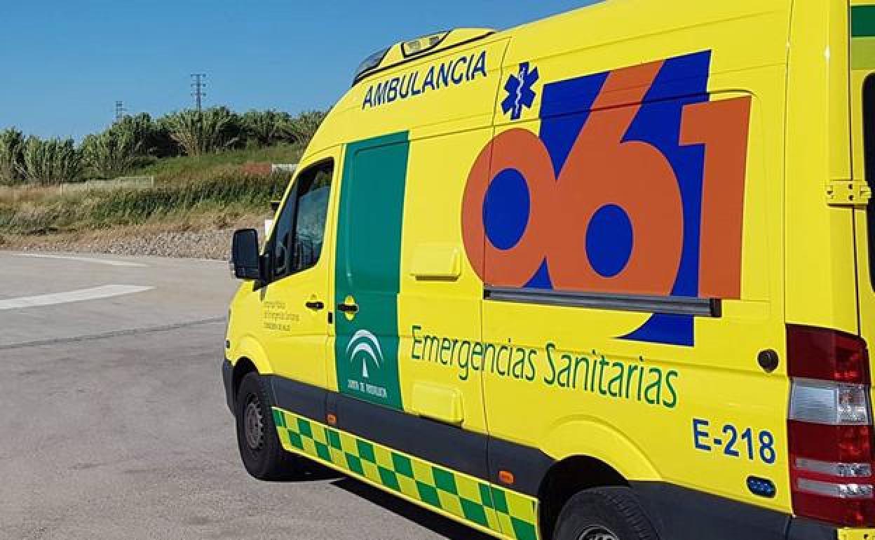 Investigan a un conductor que chocó contra unos olivos en Antequera por la muerte de uno de los ocupantes del coche