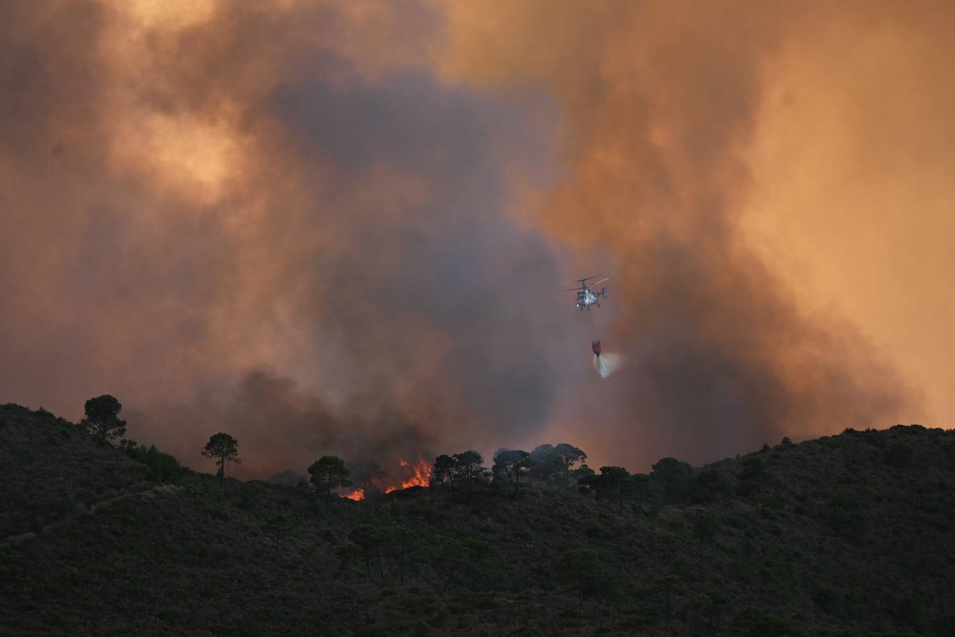 Las llamas vuelven a la zona de Pujerra y Sierra Bermeja. 