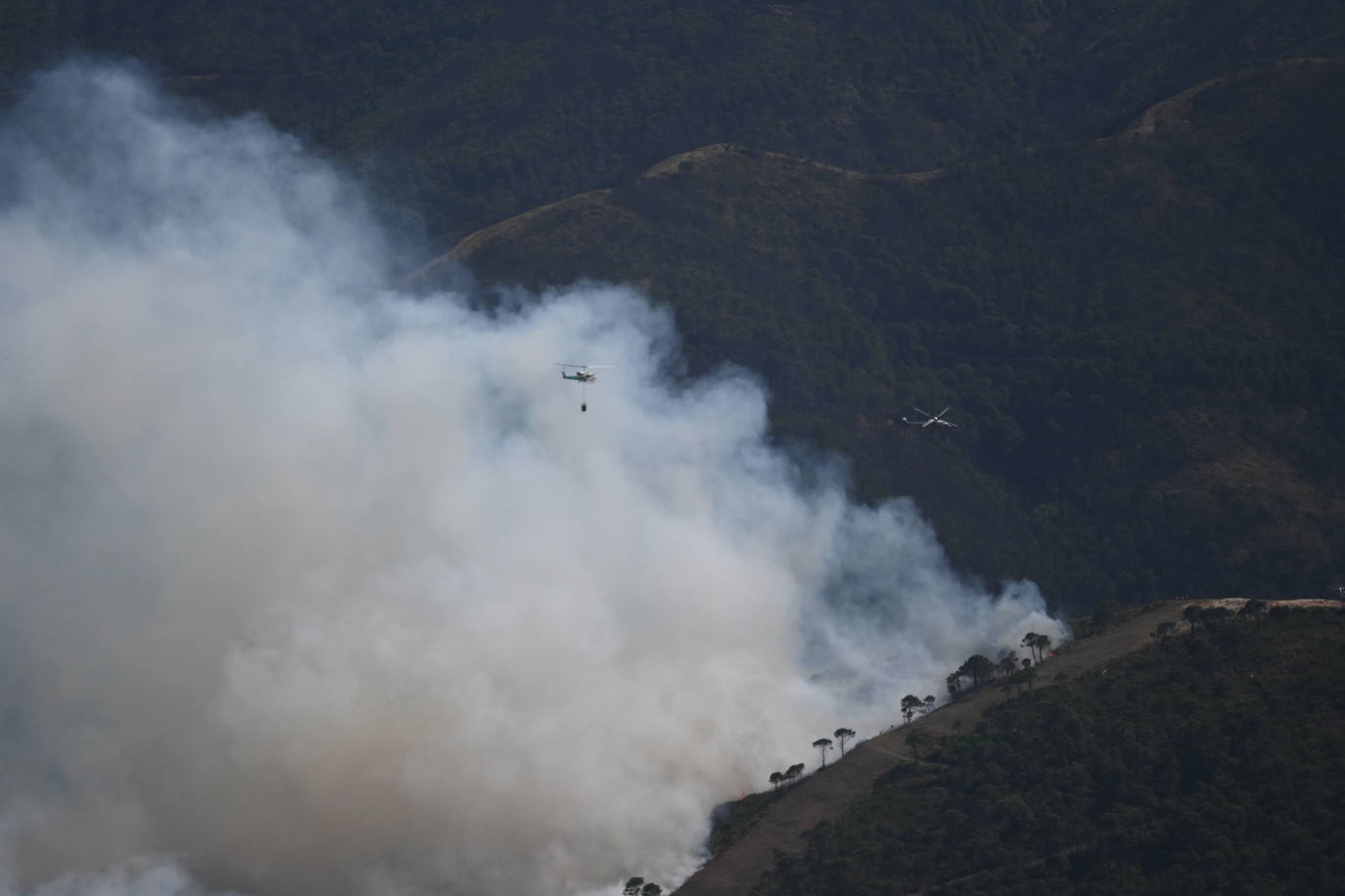 Las llamas vuelven a la zona de Pujerra y Sierra Bermeja. 