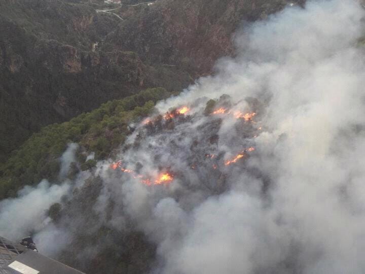 Las llamas vuelven a la zona de Pujerra y Sierra Bermeja. 