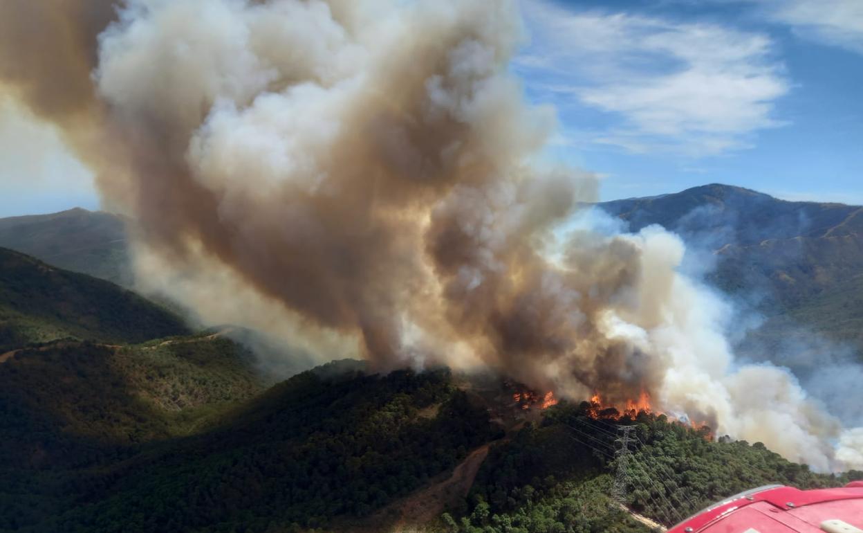 Incendio Costa del Sol: El bombero herido en Sierra Bermeja, un padre de familia de 45 años y vecino de Aznalcóllar