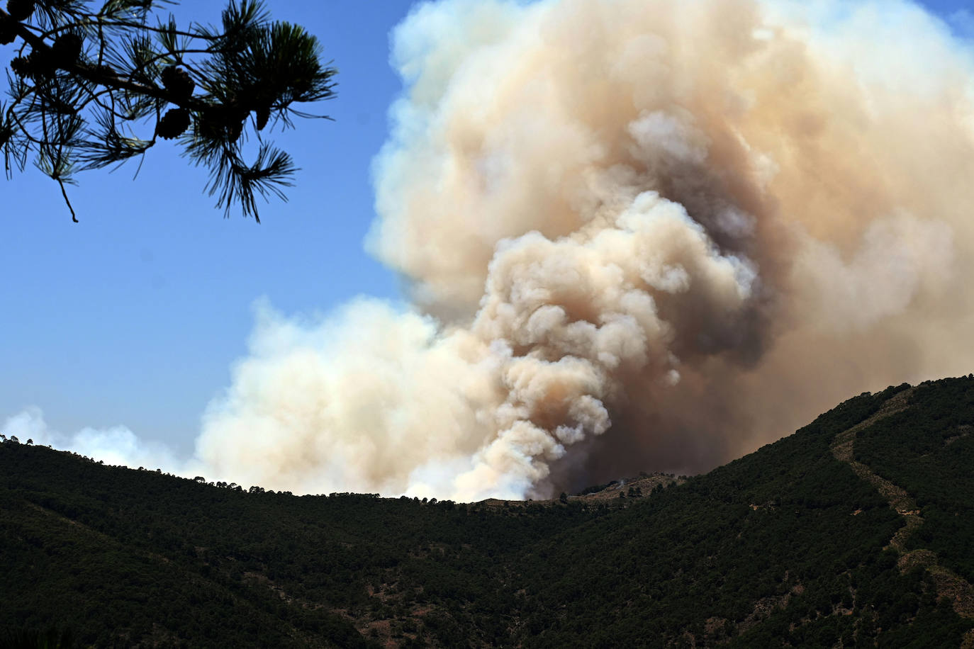 El incendio quedó estabilizado este viernes y se trabaja ahora en su control. 