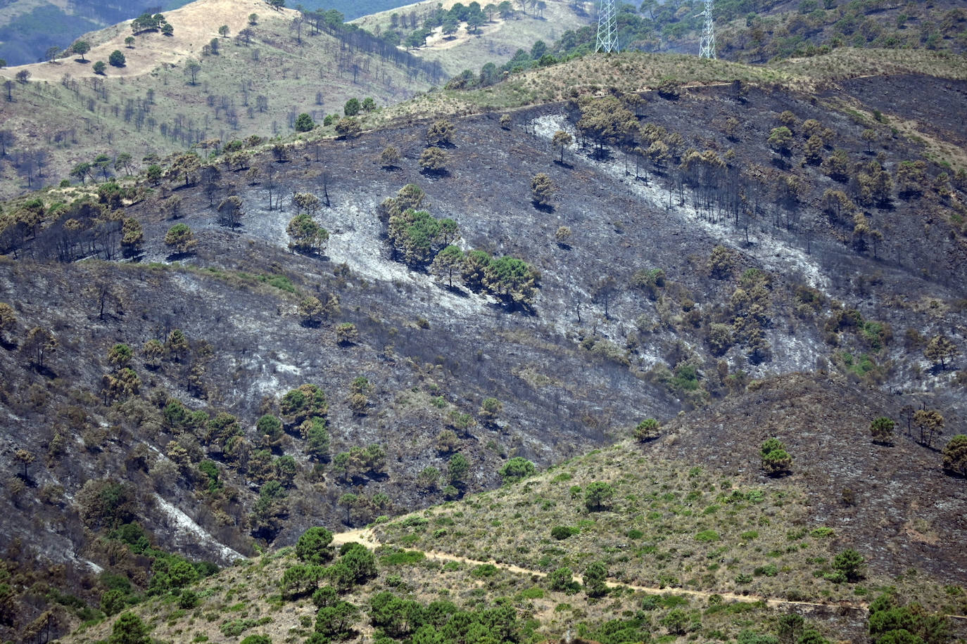 El incendio quedó estabilizado este viernes y se trabaja ahora en su control. 