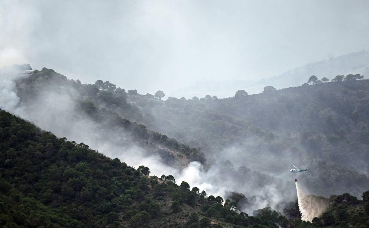 Caixabank habilita línea de ayudas para los damnificados por el incendio en Sierra Bermeja