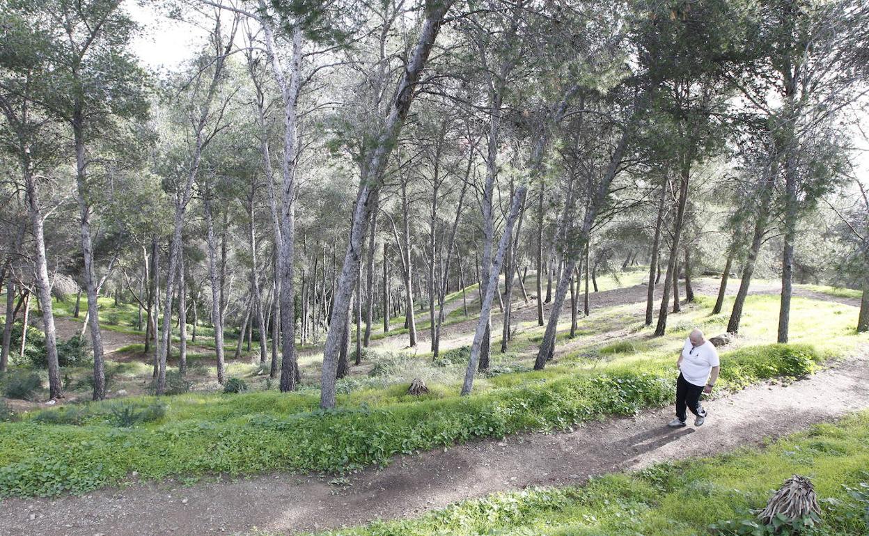 Hace seis años que fue aprobado el plan para potenciar el uso ciudadano del monte Gibralfaro. 