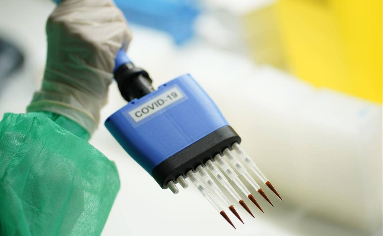 Desarrollan un sencillo test que permite medir la inmunidad frente a la infección por Covid y la duración de la protección de las vacunas