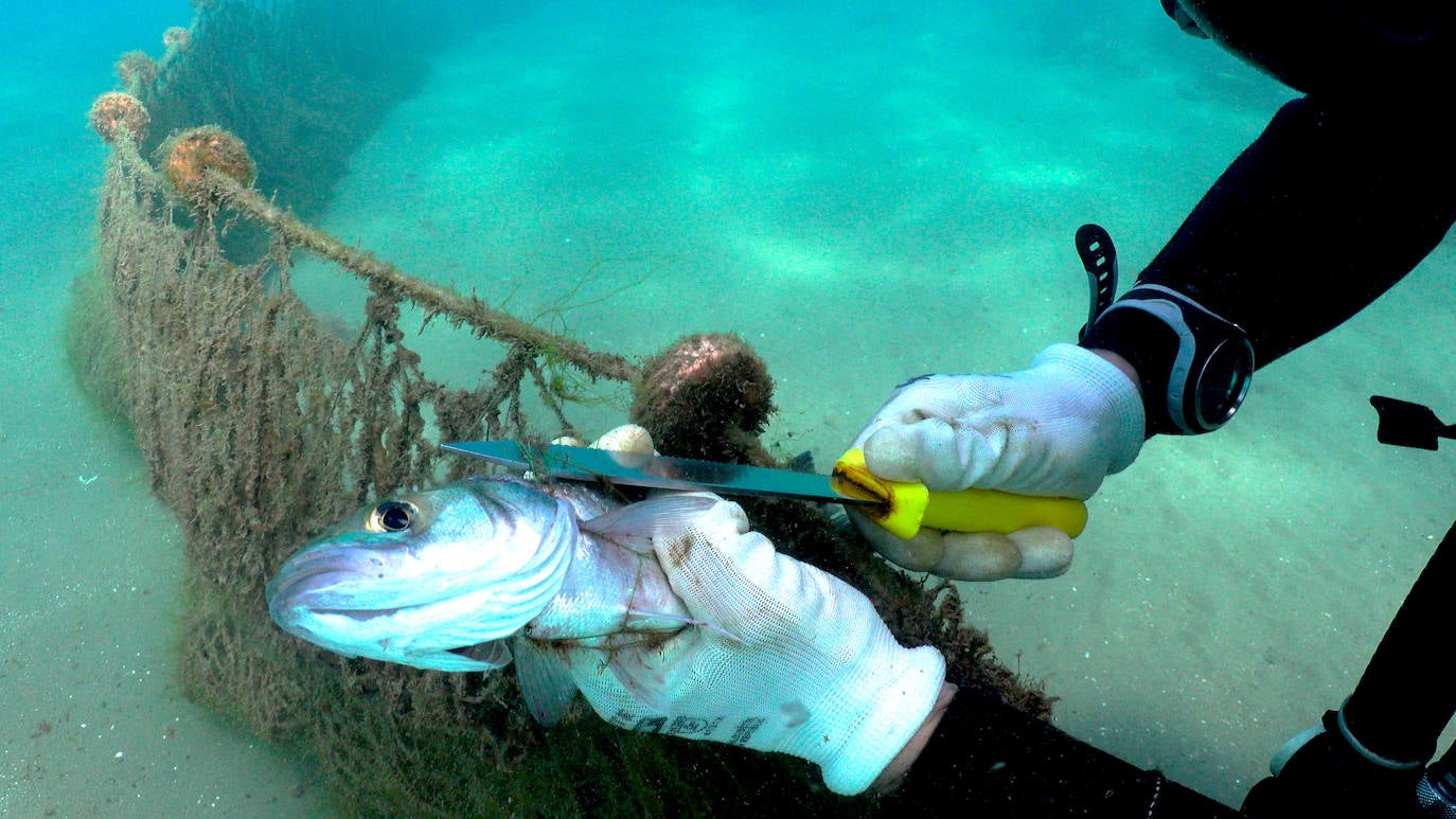 Fotos: Buceadores retiran una red abandonada frente a los Baños del Carmen