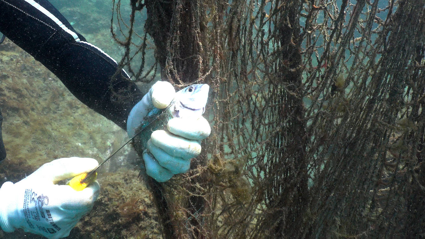 Fotos: Buceadores retiran una red abandonada frente a los Baños del Carmen