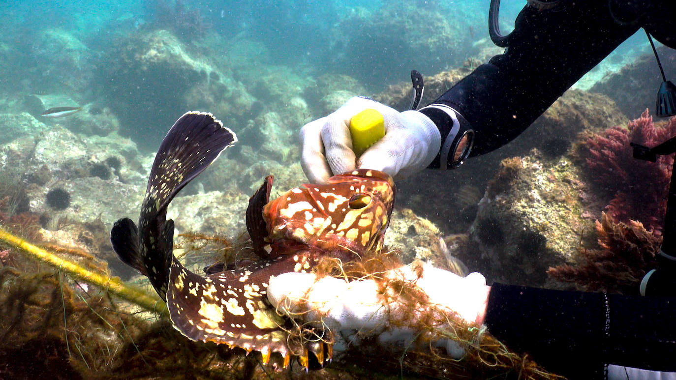 Fotos: Buceadores retiran una red abandonada frente a los Baños del Carmen