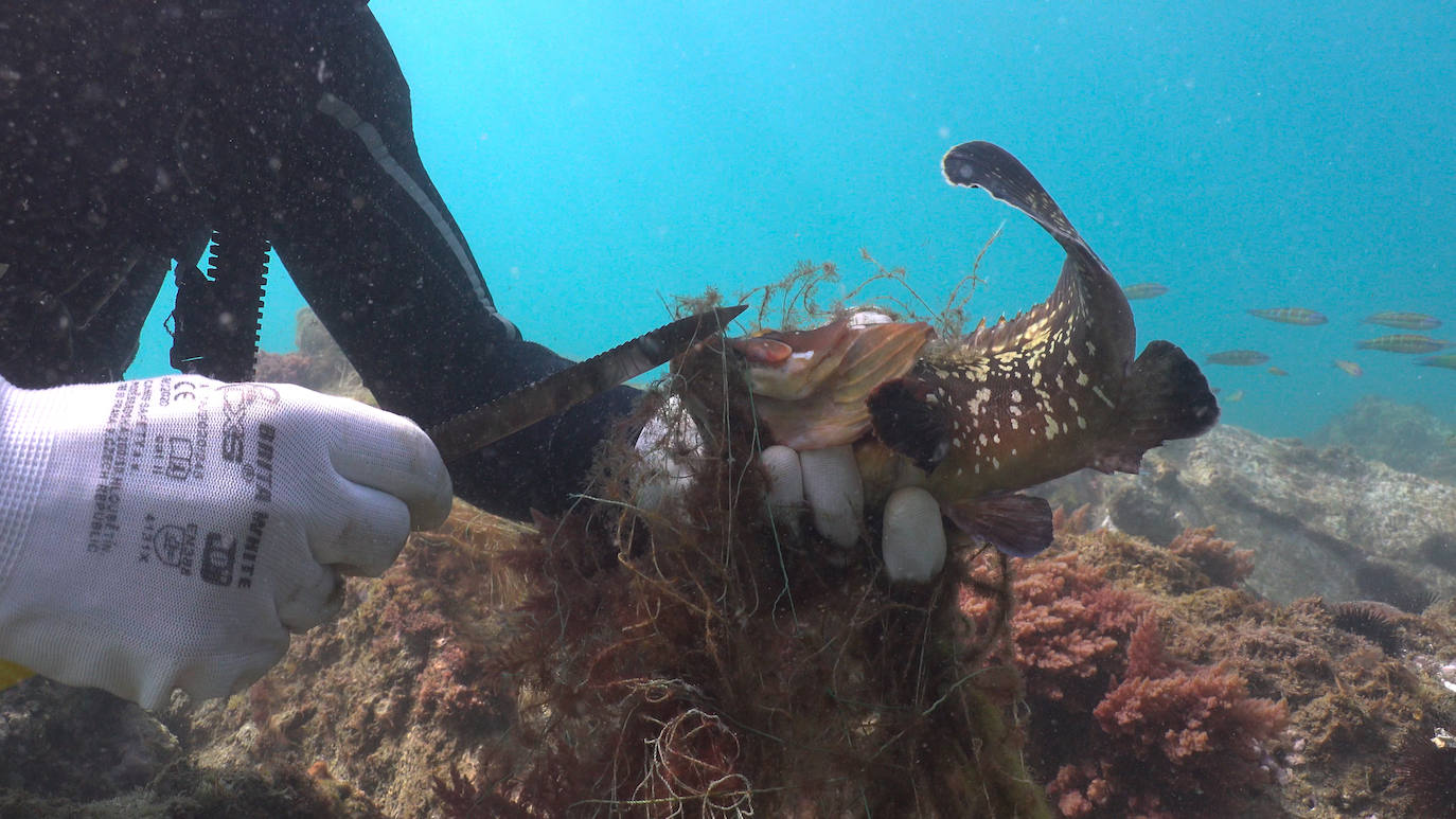 Fotos: Buceadores retiran una red abandonada frente a los Baños del Carmen