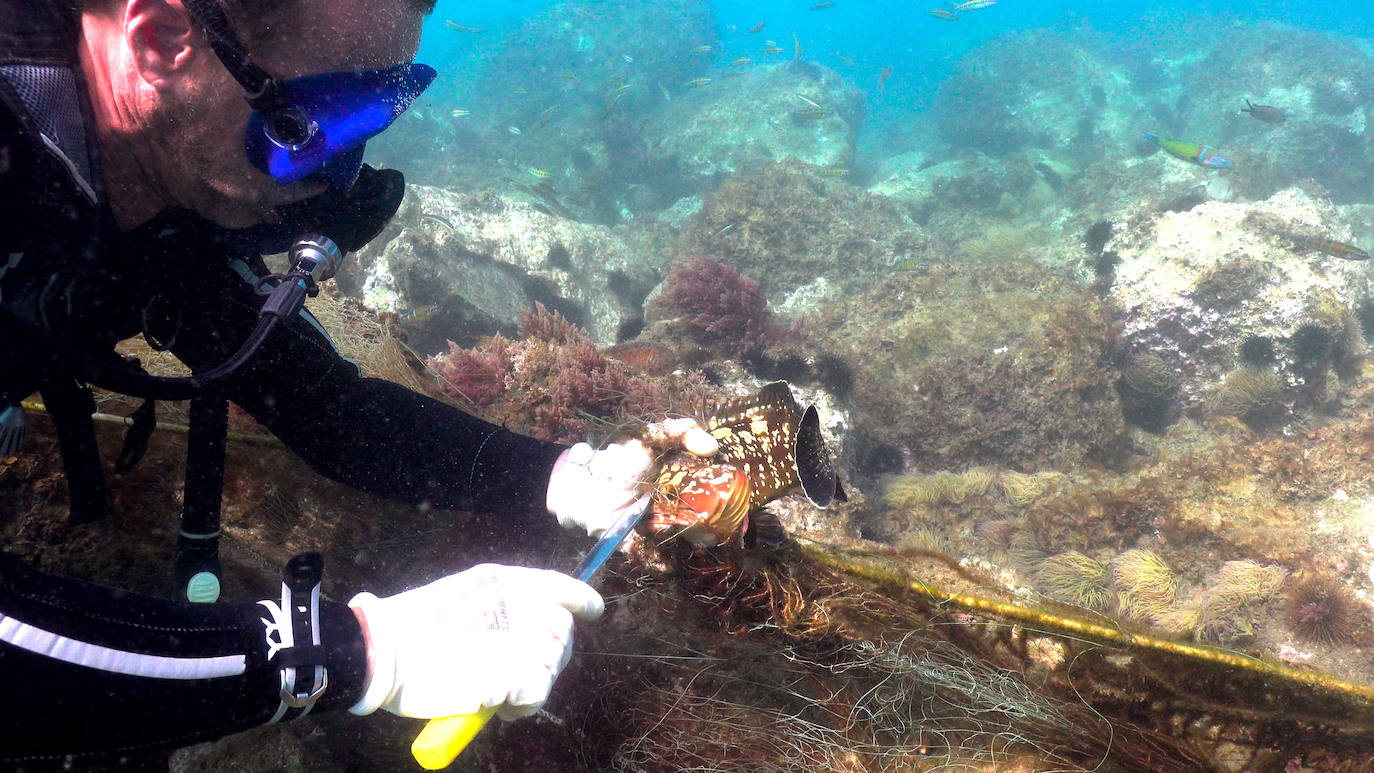 Fotos: Buceadores retiran una red abandonada frente a los Baños del Carmen