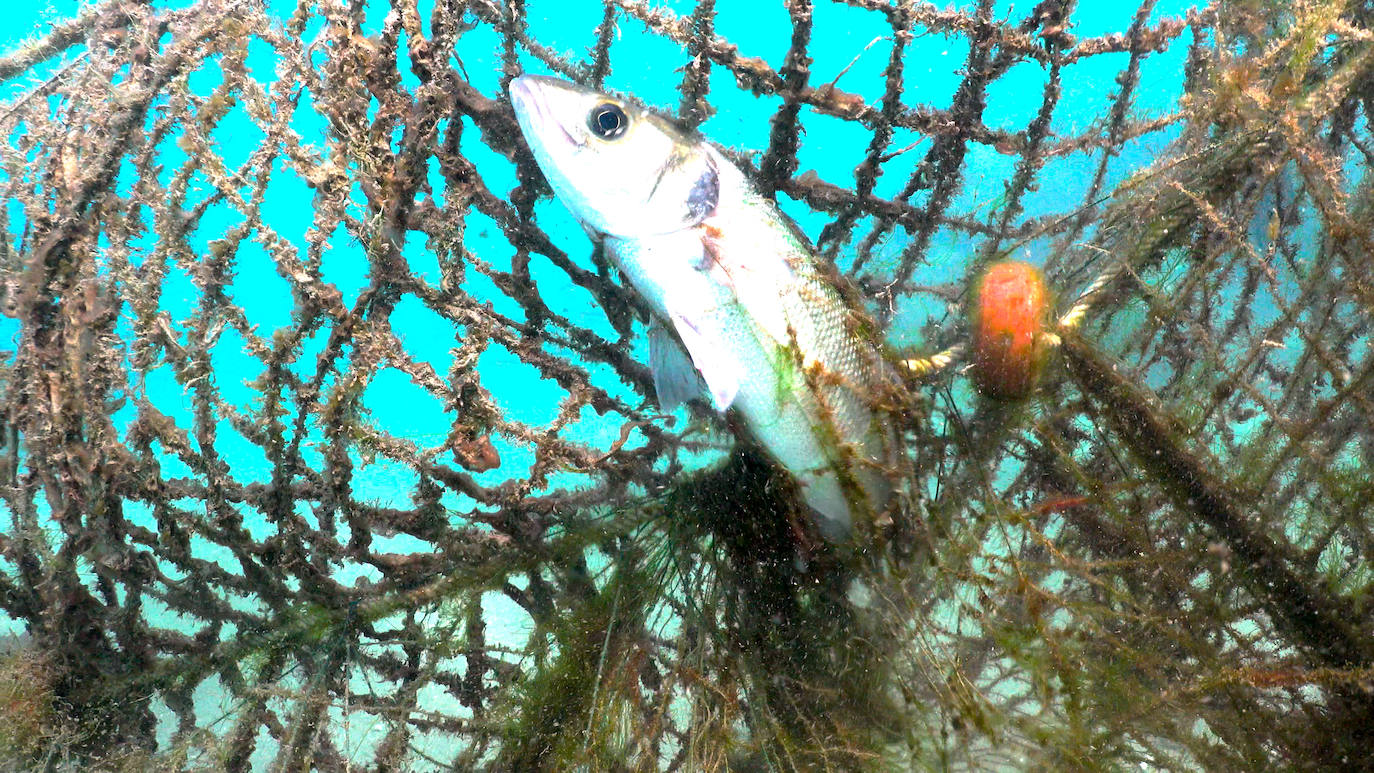 Fotos: Buceadores retiran una red abandonada frente a los Baños del Carmen