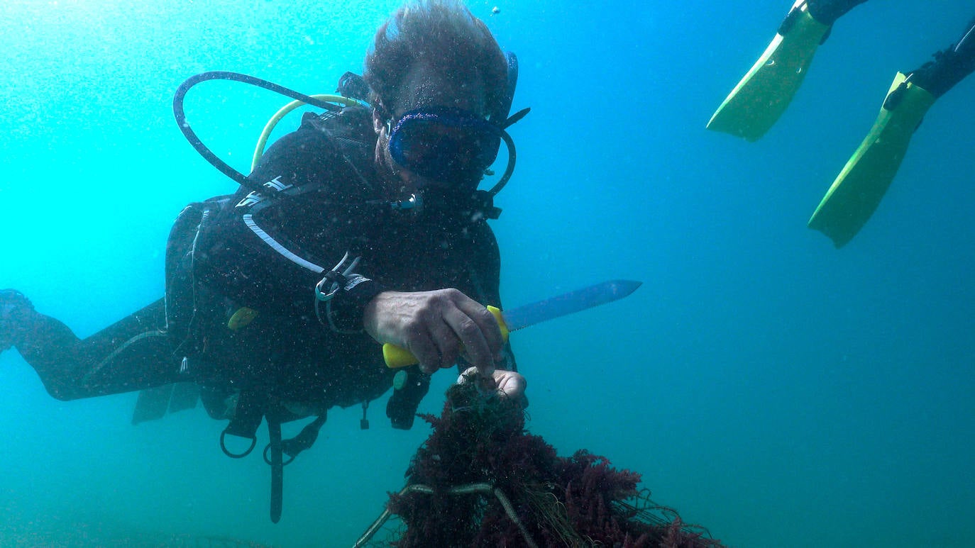 Fotos: Buceadores retiran una red abandonada frente a los Baños del Carmen