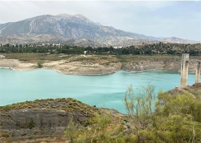 Imagen secundaria 1 - Arriba, los árboles talados en la finca de Ruiz en Triana, antes de ser arrancados; debajo a la izquierda, el embalse de La Viñuela, al 15% de su capacidad, con 24,8 hectometros, y a la derecha, Francisco Pineda, el guarda de la comunidad, con los árboles talados. 