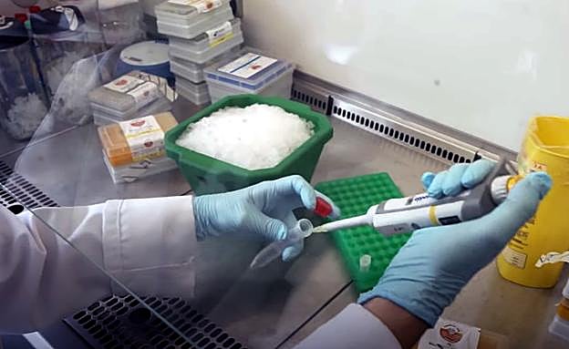 Patentan un método para detectar el Covid-19 que aúna la rapidez de los antígenos y la precisión de la PCR