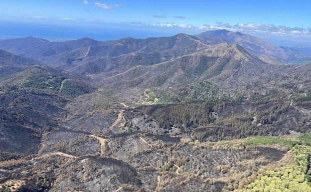 Imagen aérea de los efectos causados por las llamas.