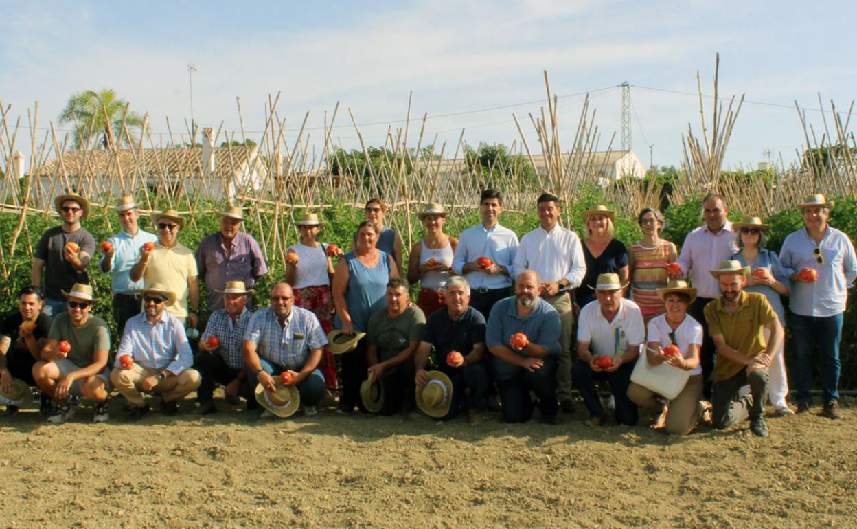 Presentación del inicio de la campaña tomate huevo de toro.