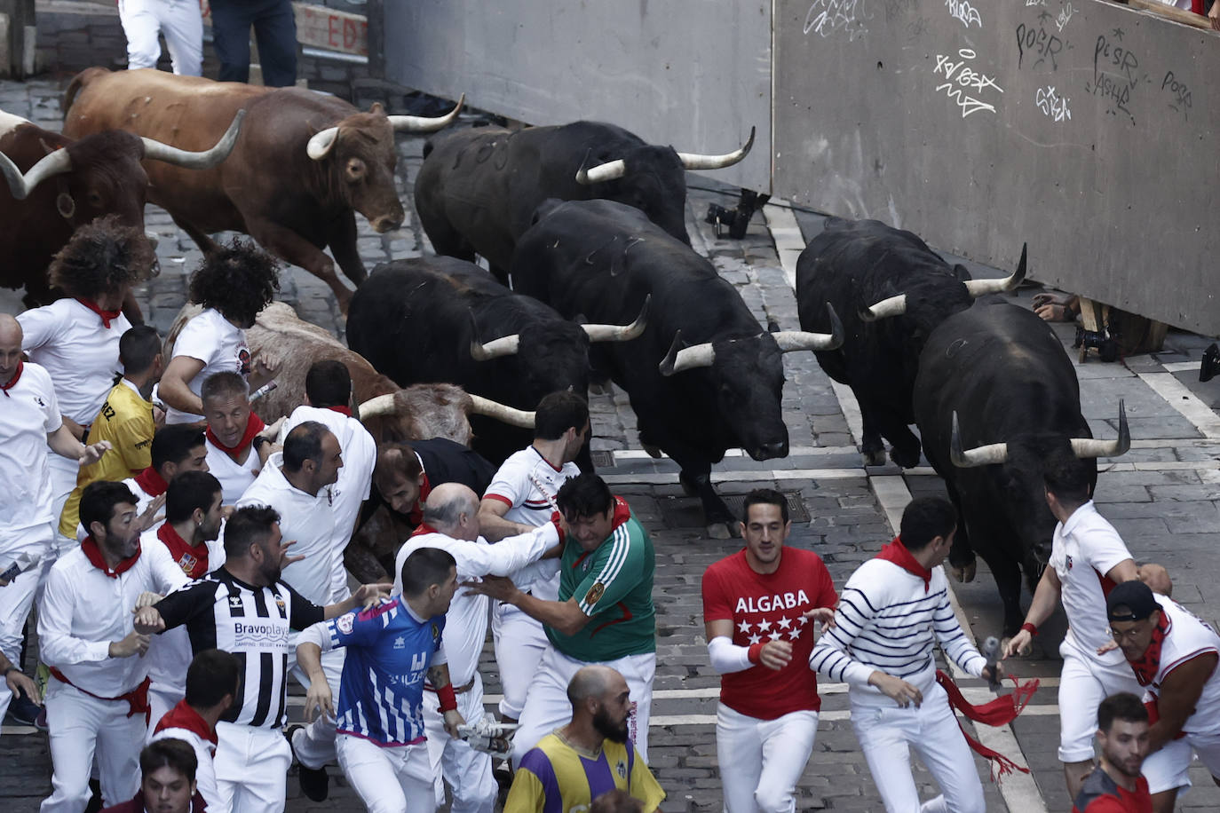 Los mozos corren ante los toros de la ganadería Victoriano del Río. 