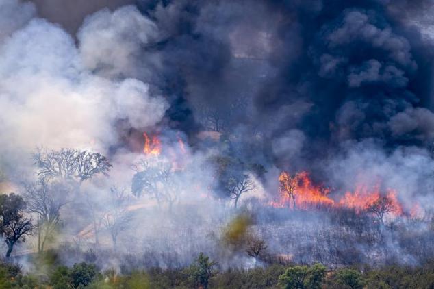 El fuego en el Parque Natural de Monfragüe ha arrasado ya unas 3.000 hectáreas y sigue sin estar controlado