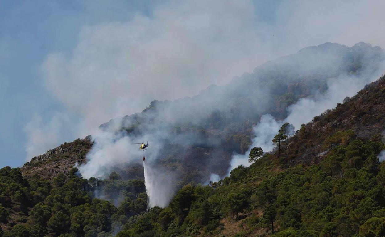 Incendio en Málaga: Casi una treintena de efectivos sigue trabajando en la extinción del incendio de Alhaurín el Grande