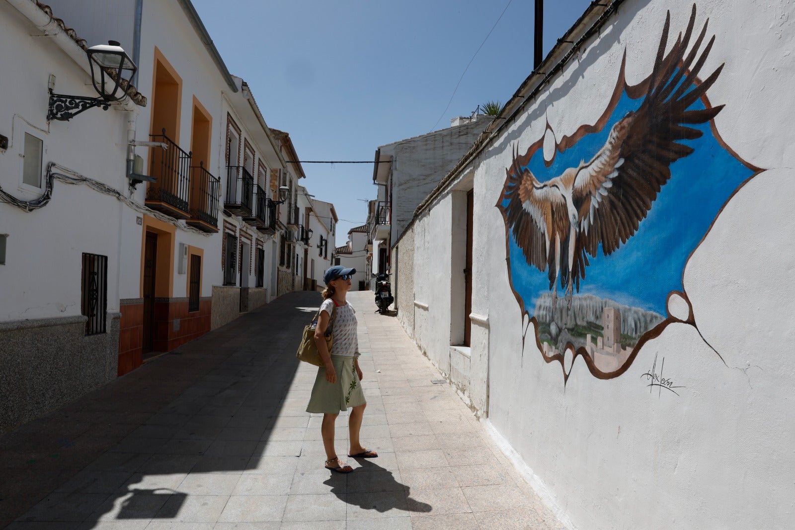 El buitre de la calle Nueva es uno de los grafiti más espectaculares. 