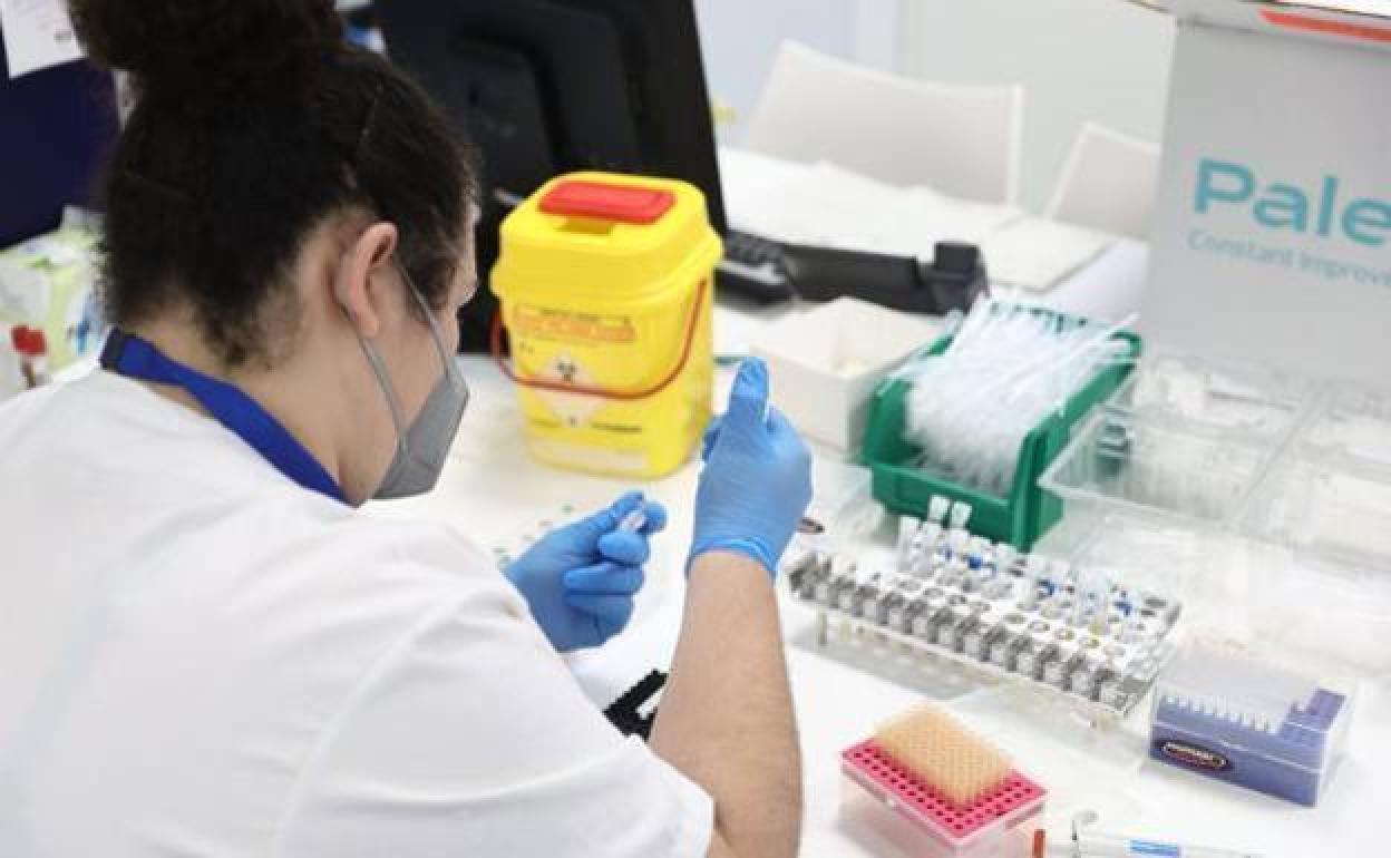 Andalucía suma ya 247 vacunados contra la viruela del mono y 344 casos activos