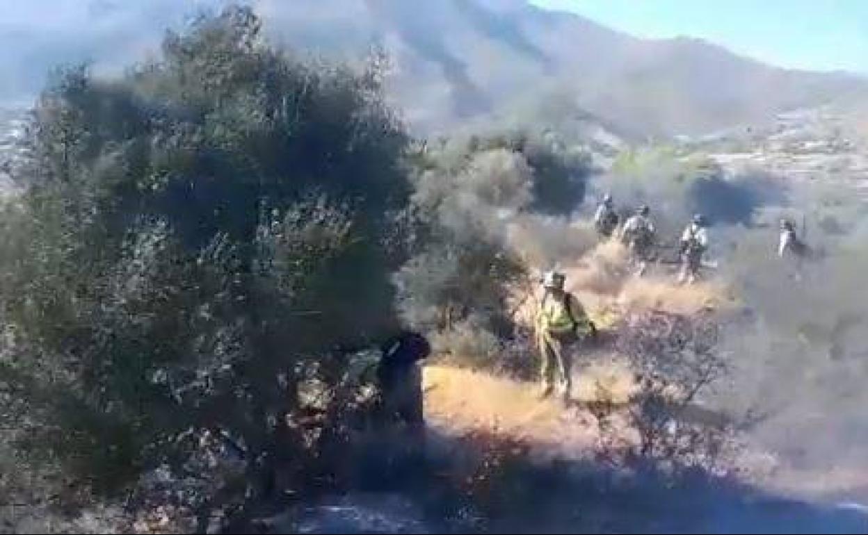 Controlado el incendio forestal declarado en Estepona este miércoles