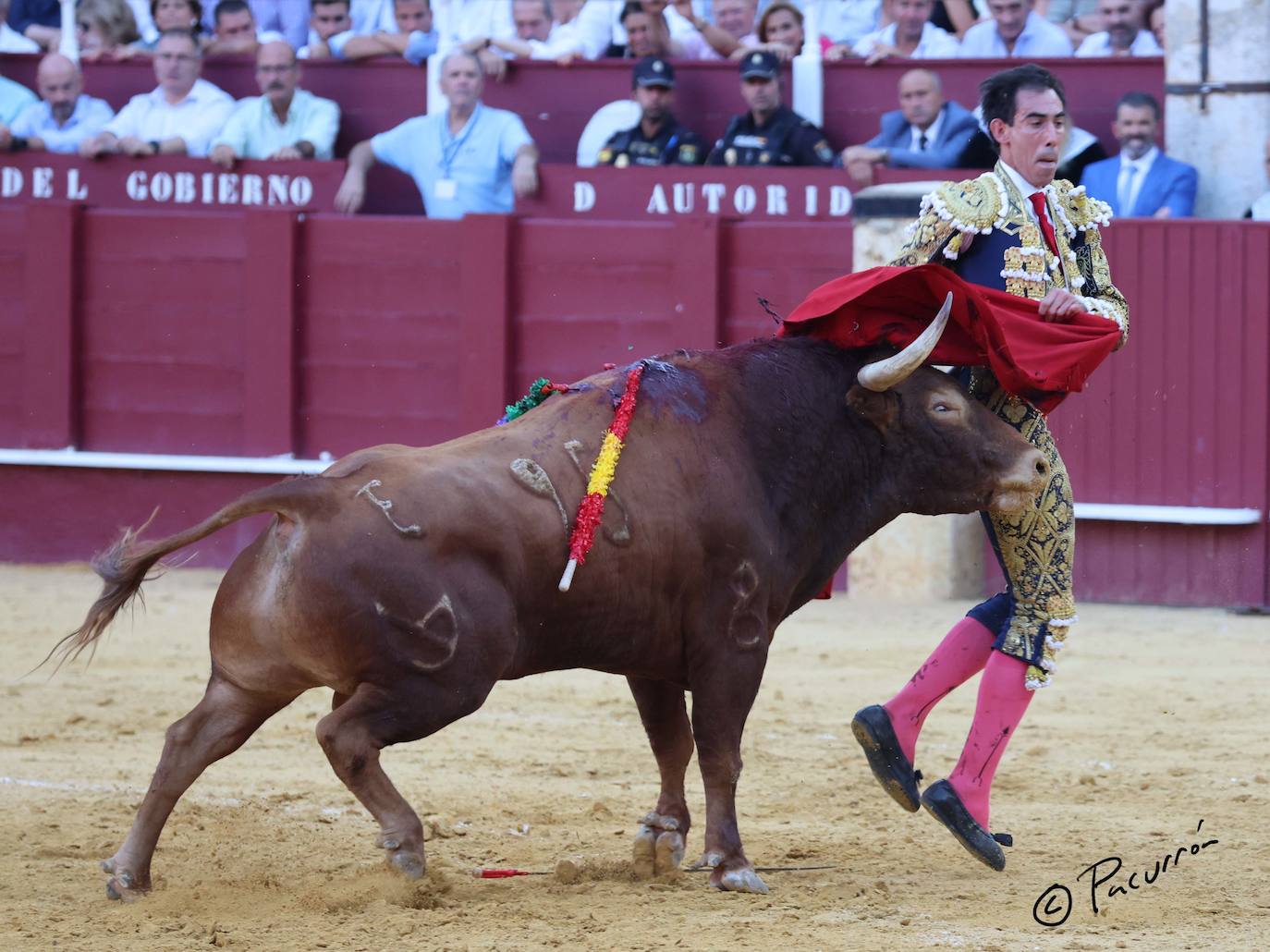 El torero malagueño quedó inconsciente en el ruedo tras un golpe en la cara al ser cogido de manera sobrecogedora. 