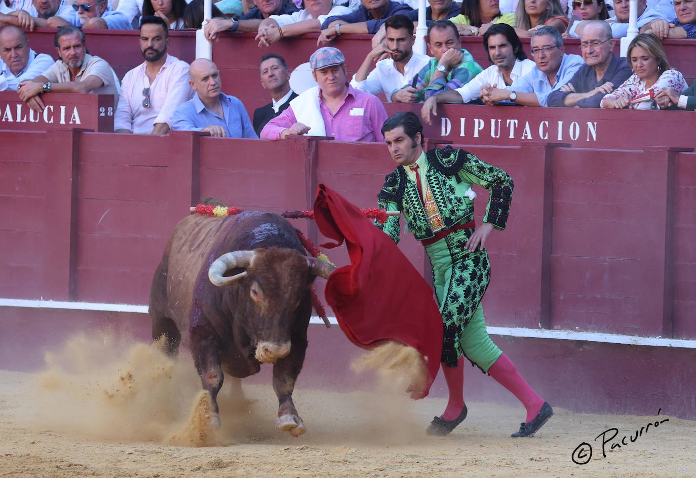 El torero malagueño quedó inconsciente en el ruedo tras un golpe en la cara al ser cogido de manera sobrecogedora. 