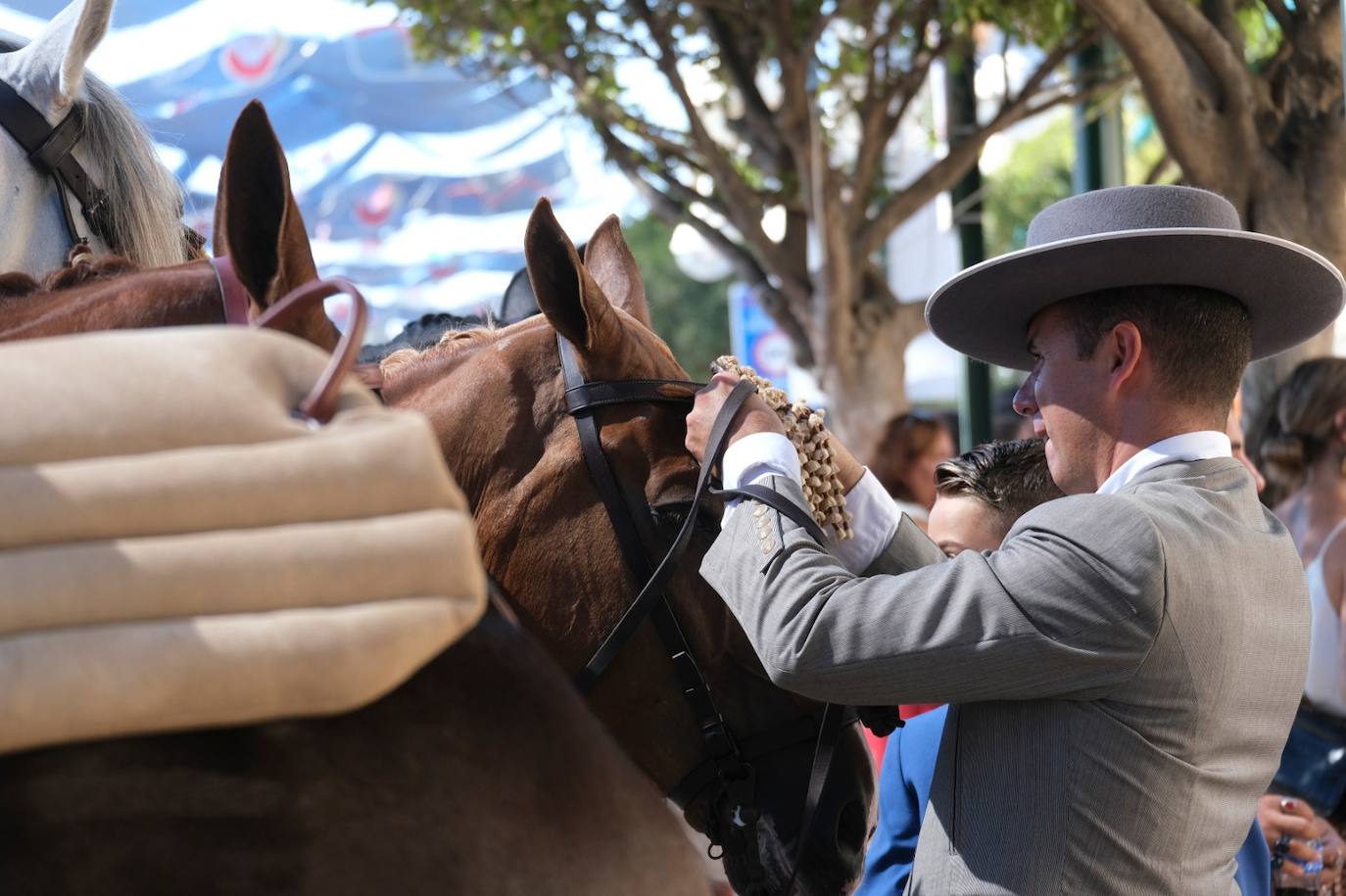 Los caballos volvieron a tener protagonismo en el real de la Feria este viernes 