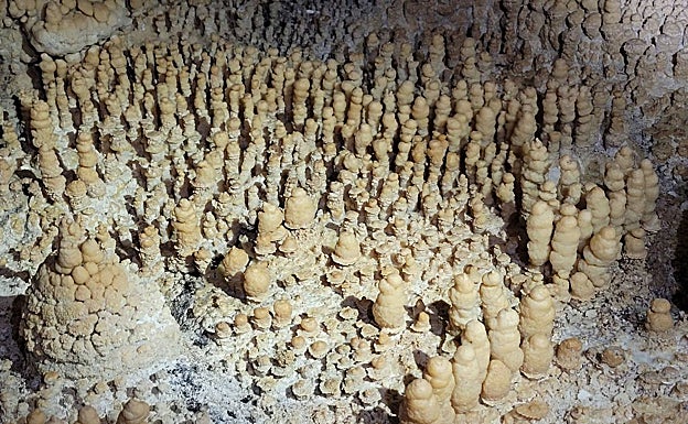Espeleotemas de tipo 'finger pools'.