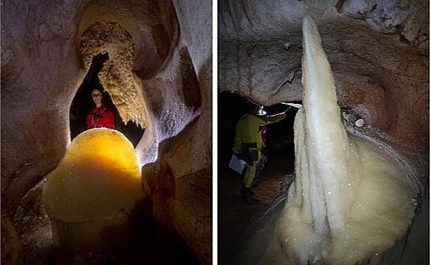 Imagen de las estegamitas encontradas.