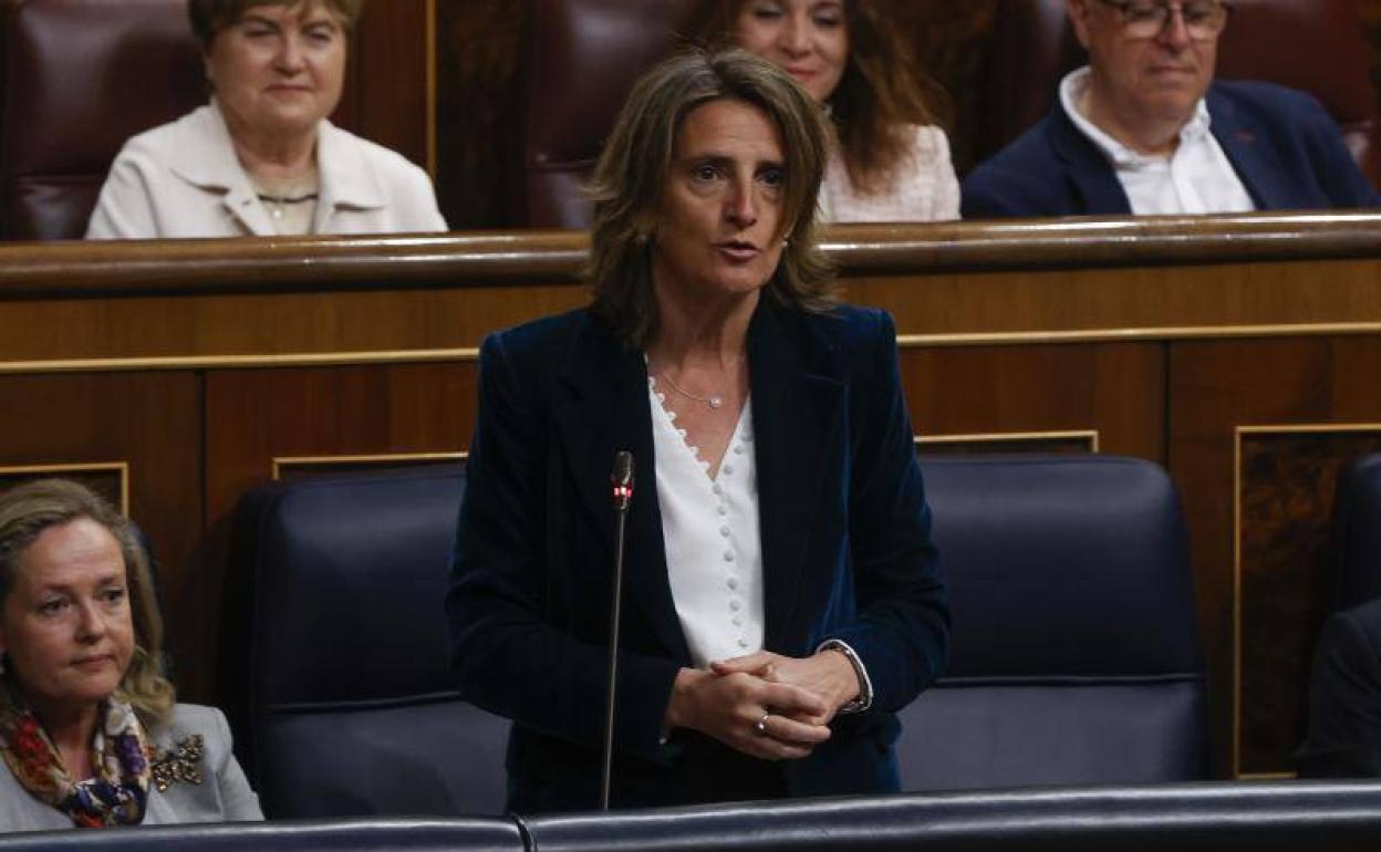 La ministra para la Transición Ecológica, Teresa Ribera, en el Congreso. 