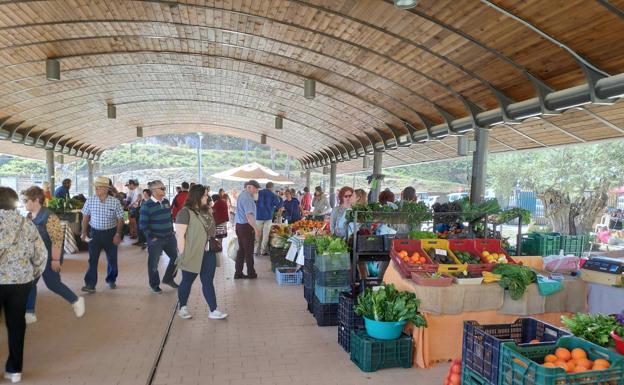 Mercado Agroalimentario del Valle del Guadalhorce.