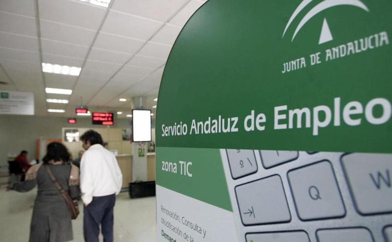 El SAE inicia 127 proyectos para la inserción de personas en situación de vulnerabilidad