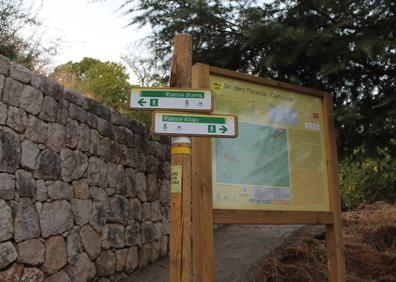 Imagen secundaria 1 - Leyenda que cuenta el origen de esta ruta. Este sendero coincide con parte del PR-A-222. Algunos castaños lucen de este modo en este sendero.