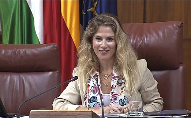 Ana Mestra, vicepresidenta primera del Parlamento.